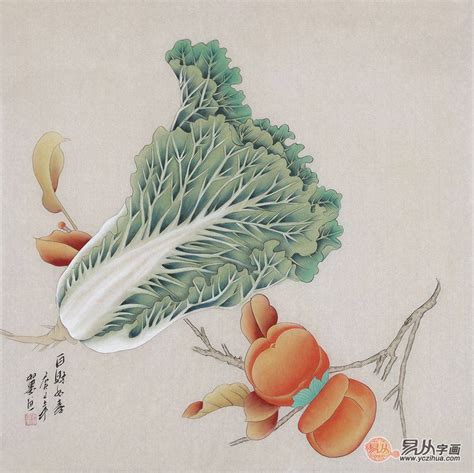 白菜 寓意|白菜的吉祥寓意与文化内涵